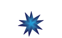 Constellation Marine Surveyors